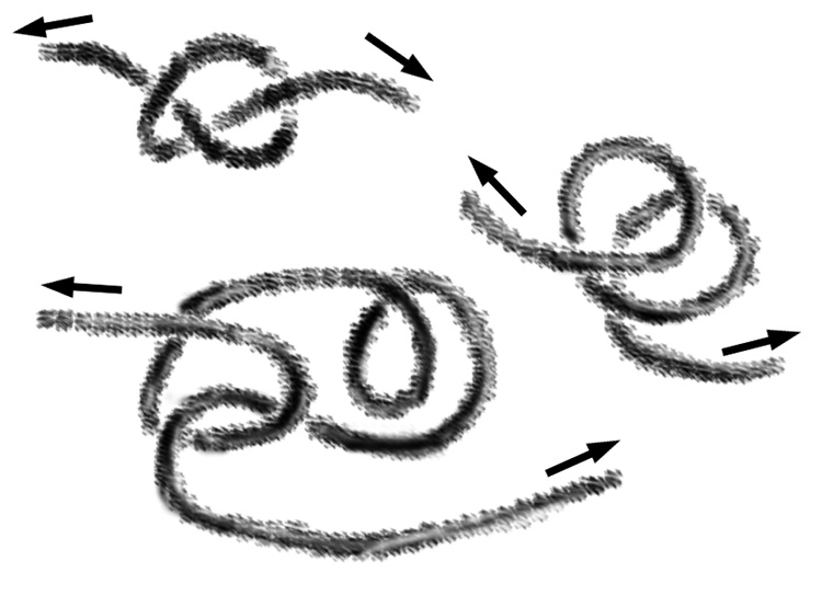 Three knots